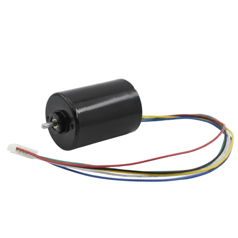 Bezuhlíkový jednosmerný motor 3650BL
